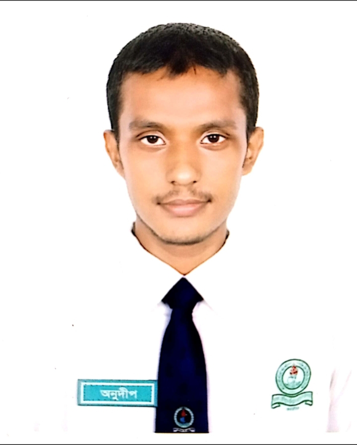 Anudip Roy