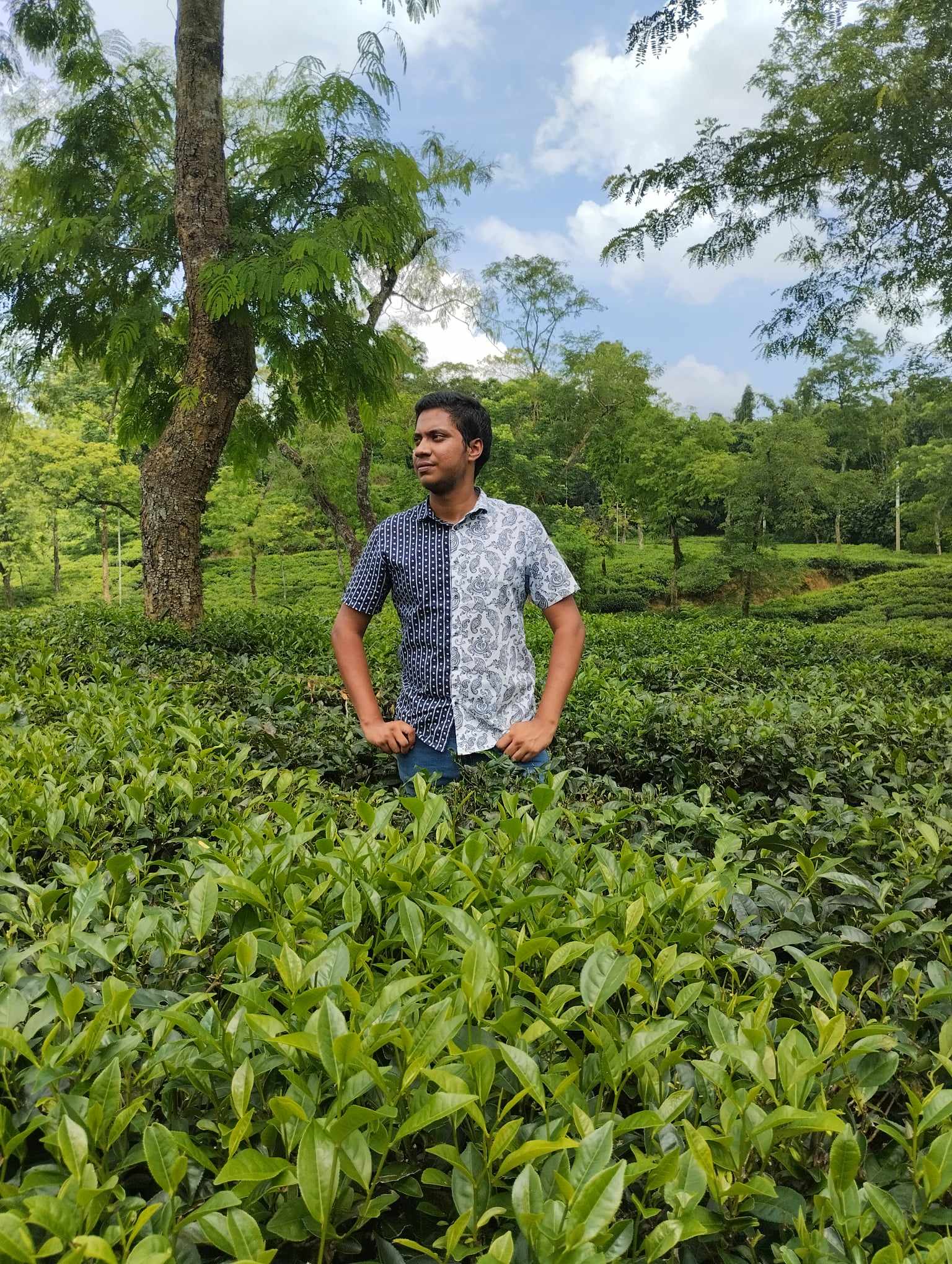 Safinul Islam